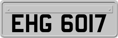 EHG6017