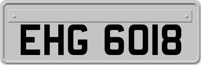 EHG6018