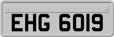 EHG6019