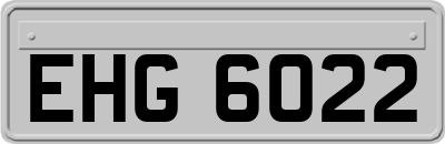 EHG6022
