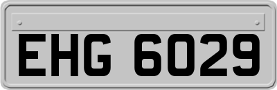 EHG6029
