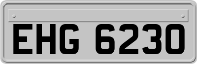 EHG6230