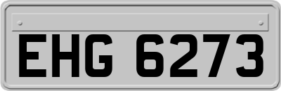 EHG6273