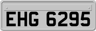 EHG6295