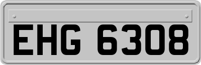 EHG6308