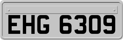 EHG6309