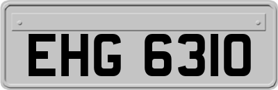 EHG6310