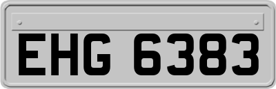 EHG6383