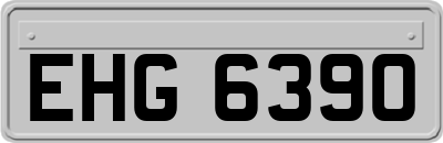 EHG6390