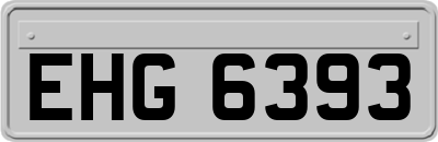 EHG6393