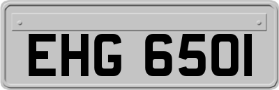 EHG6501