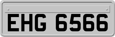 EHG6566