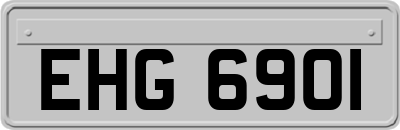EHG6901