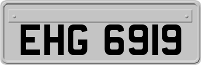 EHG6919