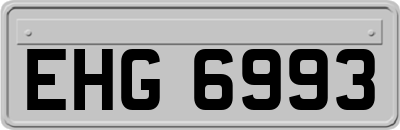 EHG6993