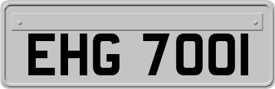 EHG7001