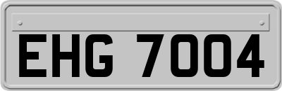 EHG7004