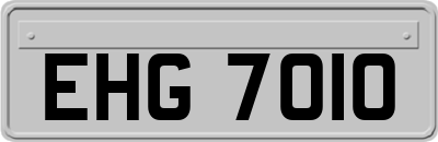 EHG7010