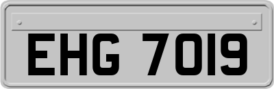 EHG7019