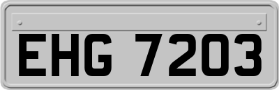 EHG7203