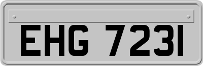 EHG7231
