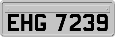 EHG7239