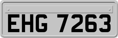EHG7263