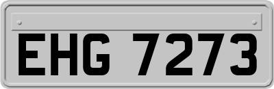 EHG7273