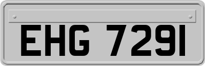 EHG7291
