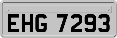 EHG7293