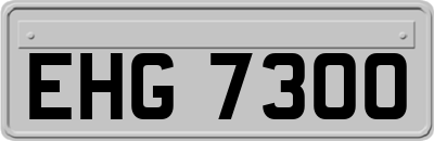 EHG7300