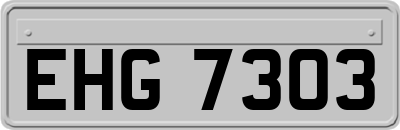 EHG7303