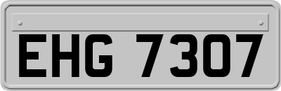 EHG7307
