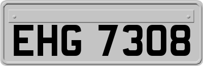 EHG7308