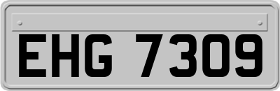 EHG7309