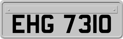EHG7310