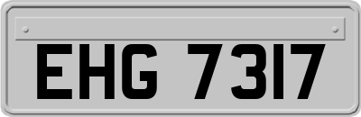 EHG7317