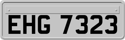 EHG7323