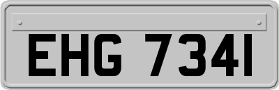 EHG7341