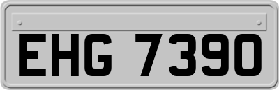 EHG7390