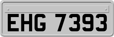 EHG7393