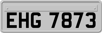 EHG7873