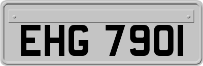 EHG7901