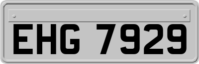 EHG7929