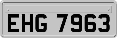 EHG7963