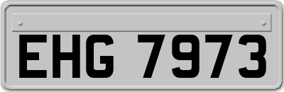 EHG7973