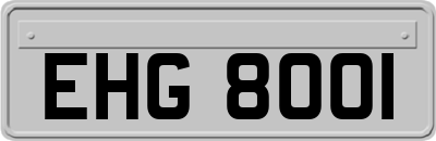 EHG8001
