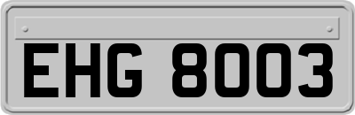 EHG8003