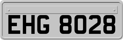 EHG8028