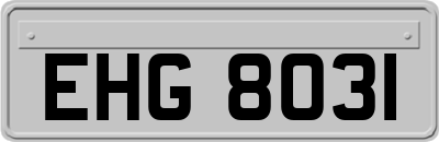 EHG8031